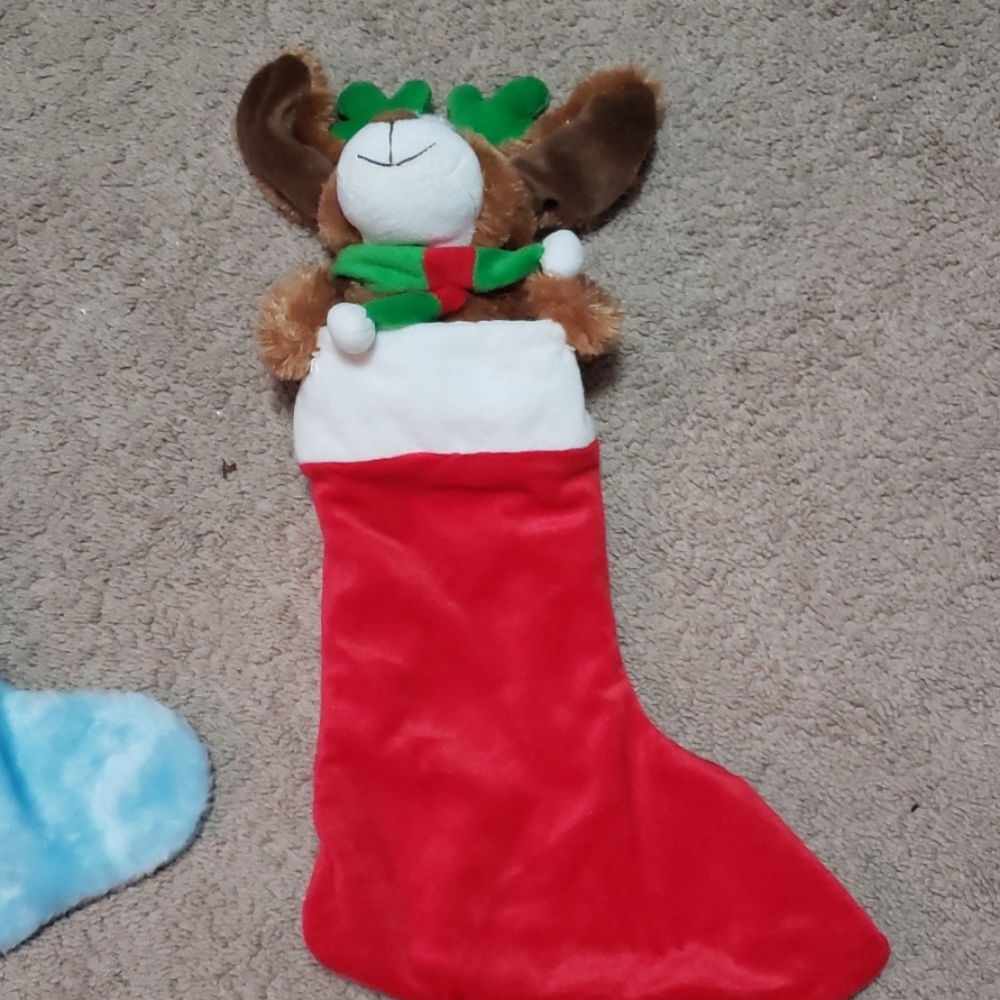 Dog stocking